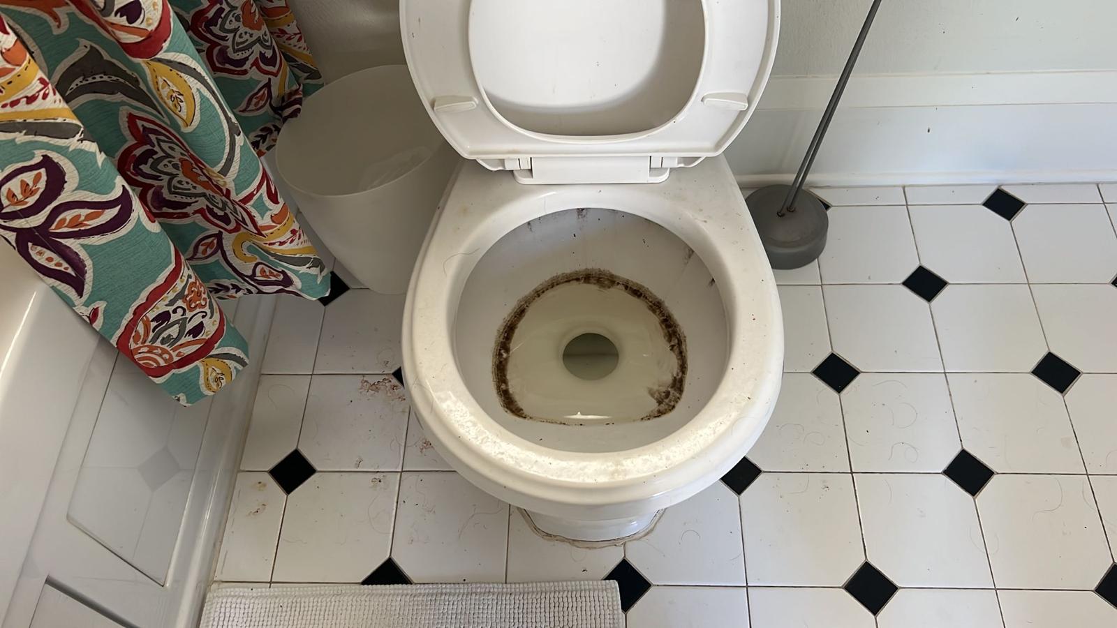 Dirty Toilet Before Cleaning